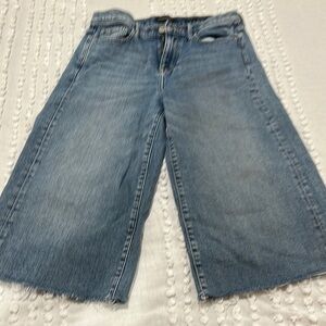 Banana Republic Blue Flare Wide Leg Jeans